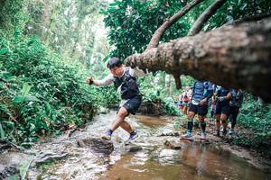 BIB: 
                            <button type="button" onclick="openModal(25375355)" class="btn btn-primary btn-sm float-right btn-popup" data-toggle="modal" data-target=".modal-high-quality">
                        <i class="fas fa-shopping-cart"></i> Add to Cart
                    </button>
                                            <button type="button" onclick="isThisMe(25375355, true)" class="btn btn-success btn-sm float-right btn-popup btn-isme hidden" data-toggle="tooltip" data-placement="bottom" title="นี่คือรูปของคุณใช่ไหม คลิกที่นี่เพื่อเอาเข้าอัลบั้ม">
                        <i class="fas fa-plus"></i> Add to album
                    </button>
                    <button type="button" onclick="isThisMe(25375355, false)" class="btn btn-warning btn-sm float-right btn-popup btn-isnotme hidden">
                        <i class="fas fa-ban"></i> Remove from album
                    </button>